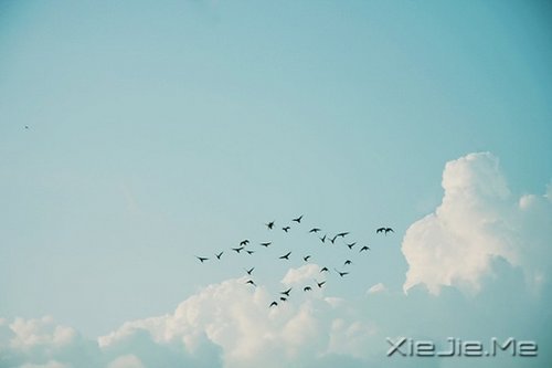 心态不好,人生易老 (10)