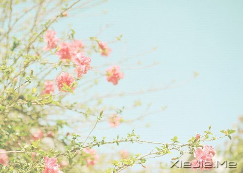 只要你在走,总会看到进步 (9)