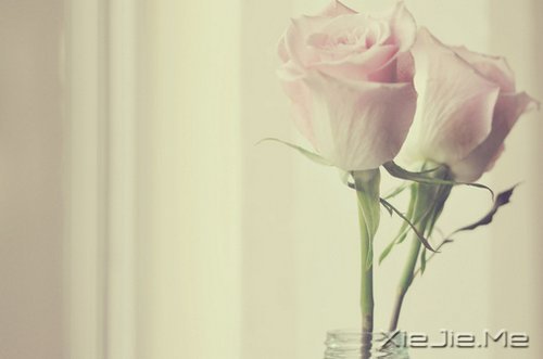 一心一意,是世界上最温柔的力量 (2)