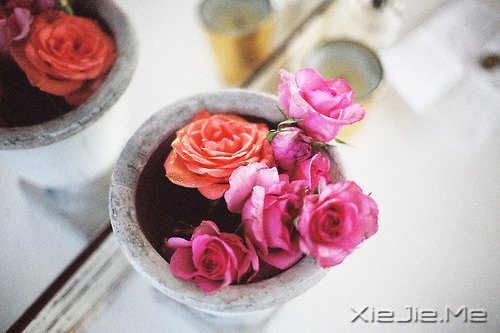 我不怕长大,而是怕你们老去 (2)