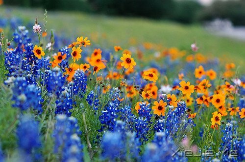 我不怕长大,而是怕你们老去 (3)
