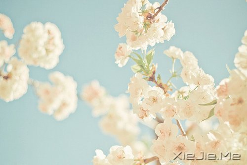 私奔吧,哪怕一个人 (6)