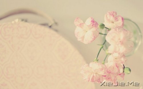 安静下来才能看到真实的自己 (8)