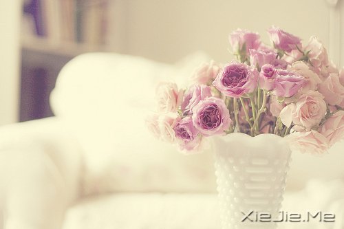 生命是一首悲欢交集的歌,我们都是那个唱歌的人 (6)