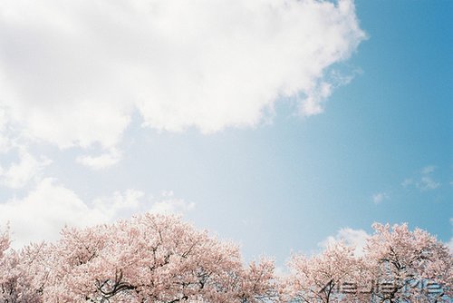 学着看淡一些事情,才是对自己最好的保护 (9)