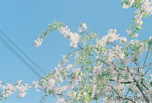 因为知足,所以更接近幸福 (7)