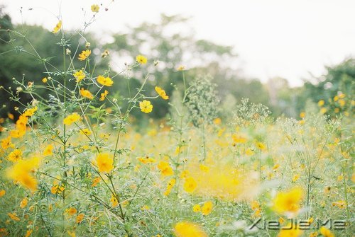 路过青春一阵子,记忆里搁浅一辈子 (3)