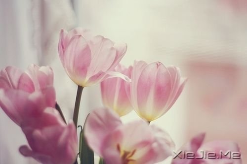 千万不要因为走的太久,而忘记了我们为什么出发 (4)