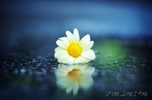 早安心语:让过去的都过去 (2)