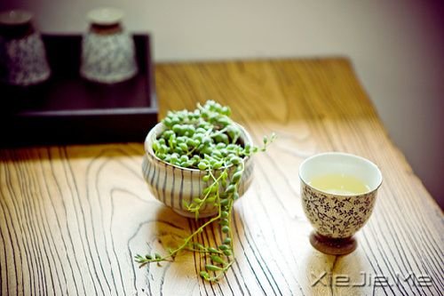 早安心语:心若没有栖息的地方,到哪里都是在流浪 (8)