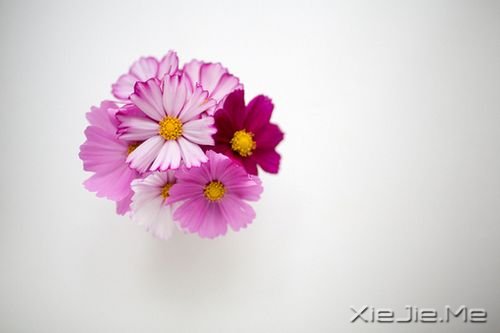 早安心语:总有许多事,需要一个人扛 (1)