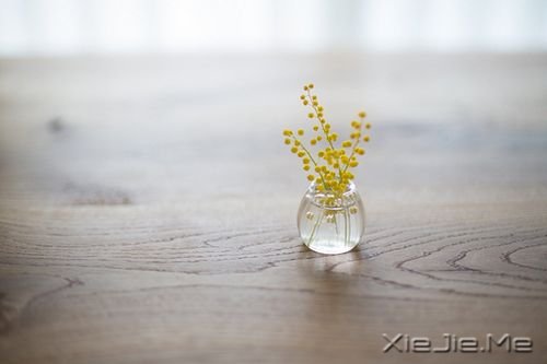 早安心语:总有许多事,需要一个人扛 (4)