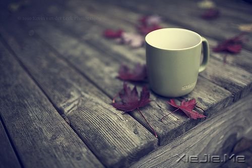 早安心语:生活不是林黛玉,不会因为忧伤而风情万种 (9)