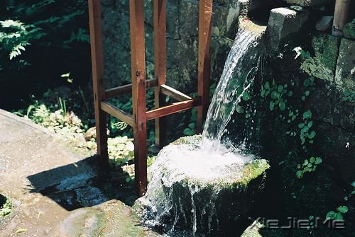 歌词心语:那些如人意 贴人心的歌词 (4)