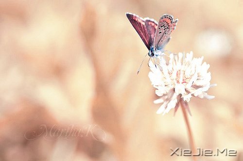 ���룬������ͨ���Ҹ���Ψһ��·