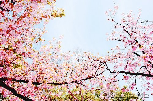 2014,用12个月来改变自己 (11)