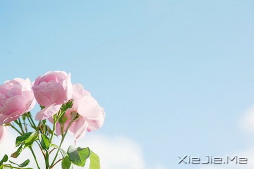 世界上著名的钢琴曲和背后的故事 (1)