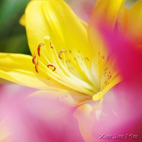 生活的九大智慧 (5)