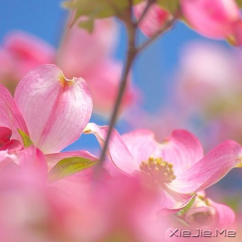 生活的九大智慧 (9)