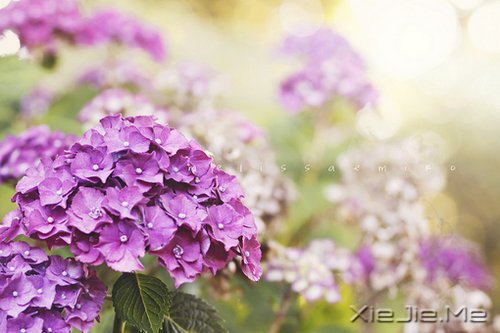 积极向上,最健康的生活方式