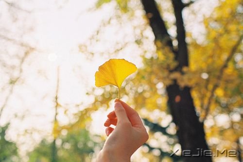 ������û����ô�ࡰ������Ȼ��