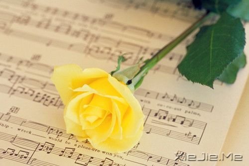 30������֮������֮�� (5)